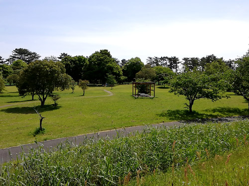 和田公園
