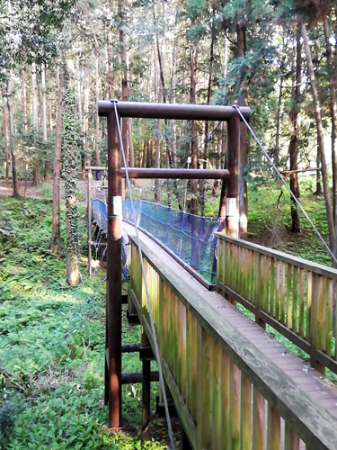 手賀の丘公園 吊り橋