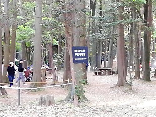 手賀の丘公園 キャンプ場