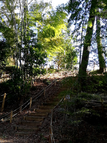 大畔の森②入口階段